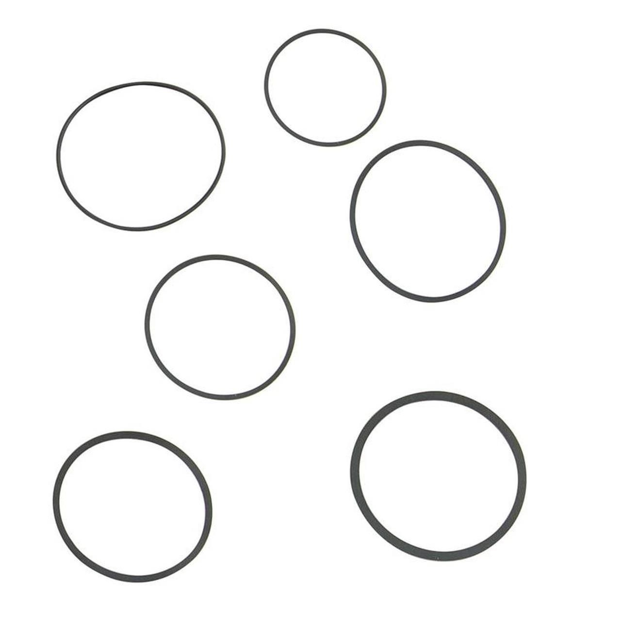 Guarnizioni o-ring  Rolex e Tudor